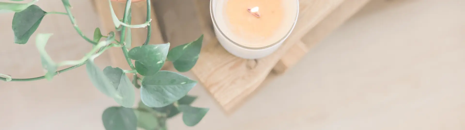 Wellness Blog